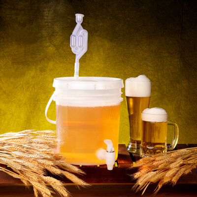kopen milieuvriendelijk 20L fermentator voor de brouwerij voor de Bomebrew Enzyme Fruit Bucket online vervaardiging