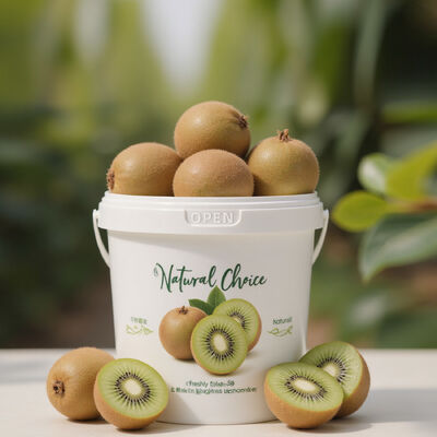 300ml~10L Ademende Vershoudbak voor Fruitverpakking met Deksel en Handvat, Fruitbewaarcontainer voor Kiwi