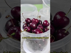 1L plastic emmer voor gecondenseerde melk Honing IJs Cream Food Grade Clear Storage Container