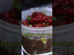 Doorzichtige plastic emmers met deksels